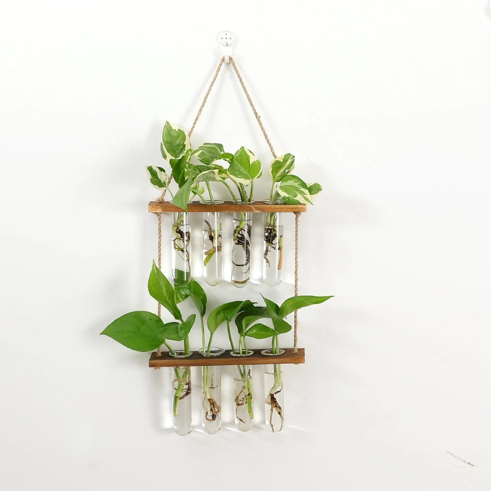 Elegant Nordic Wood and Glass Wall Vase for Stylish Decor Brooklyn & Birch
