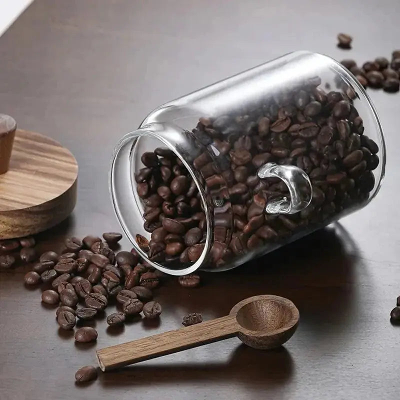 Elegant Clarity Glass Storage Jar for Stylish Organization Brooklyn & Birch